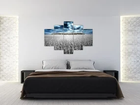 Obraz pole (150x105 cm)