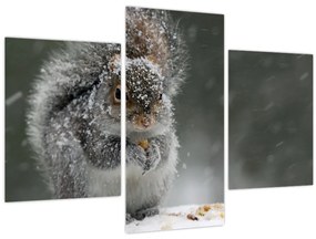 Obraz - Veverička v zime (90x60 cm)