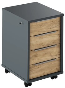Kontajner so zámkom, grafit/dub artisan, RIOMA NEW TYP 30