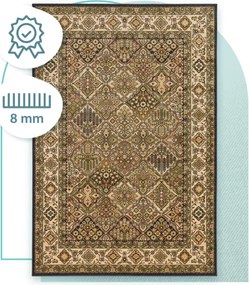 Koberec Agnella Standard Bergenia olivový