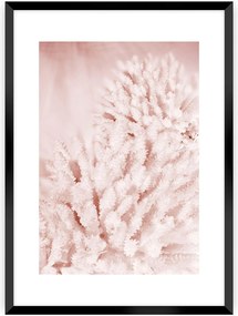 Plagát Pastel Pink II