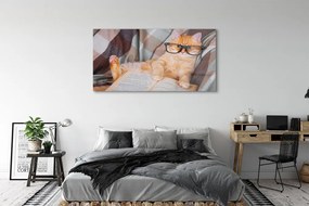 Obraz na akrylátovom skle Čitateľ cat 140x70 cm