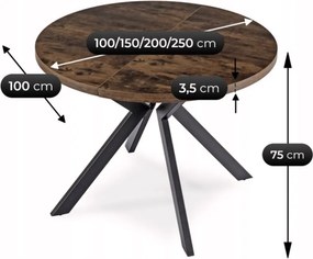 Rozkladací stôl LUKAS 100-250 cm rustikálny dub/čierny