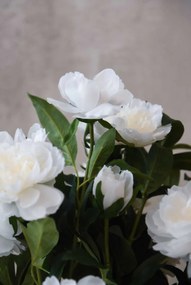 Umelá pivonka v krémovom kvetináči PEONY, výška 70 cm, biela