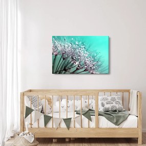 Obraz - orosená rastlina (90x60 cm)