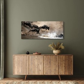 Obraz - Stádo pakoňov (120x50 cm)