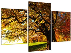 Obraz jesenného stromu (90x60 cm)