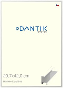 DANTIK rám na obraz 29,7x42 | ALU Stříbrná lesklá (Plexi Čiré)