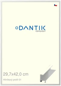 DANTIK rám na obraz 29,7x42 | ALU Stříbrná lesklá (Plexi Čiré)