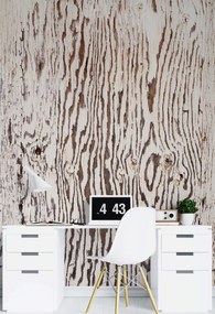 Gario Fototapeta Drevo zblízka Materiál: Vliesová, Rozmery: 200 x 280 cm