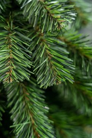 Vianočný stromček- Smrek prírodný na dreve 210 cm