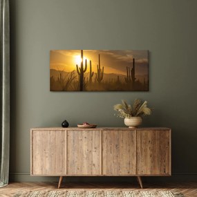 Obraz - Kaktusy Saguaro (120x50 cm)