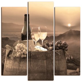 Obraz na plátne - Fľaša vína na vinici - štvorec 3152FC (105x105 cm)