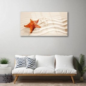 Skleneny obraz Hviezdice na piesku pláž 100x50 cm