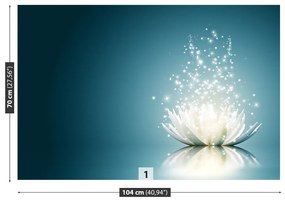 Fototapeta Vliesová Lotosový kvet 416x254 cm