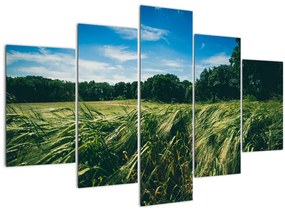 Obraz lúky a lesa (150x105 cm)