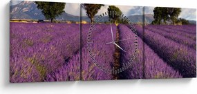 Obraz - Levanduľové pole a hory (s hodinami) (90x30 cm)