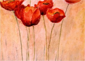 Sklenený obraz - Červené tulipány (70x50 cm)