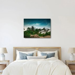Obraz - palmy (70x50 cm)