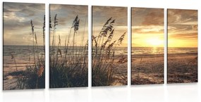 5-dielny obraz západ slnka na pláži - 100x50