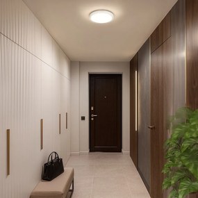 Stropné LED svietidlo Vigo, 1x LED 24w, 4000k, (fi 38cm), w
