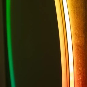Brilagi - LED RGBW stmievateľné vyhrievané zrkadlo s podsvietením AVA PRO LED/18W/230V priemer 60 cm IP44