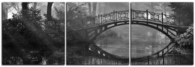 Obraz na plátne - Starý most - panoráma 5139QB (120x40 cm)