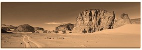 Obraz na plátne - Cesta v púšti - panoráma 5129FA (105x35 cm)