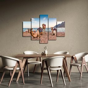 Obraz tiav (150x105 cm)