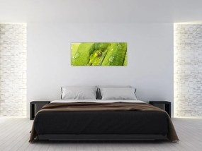Obraz hada (120x50 cm)