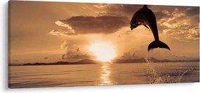 Obraz - Delfín pri západe slnka (120x50 cm)