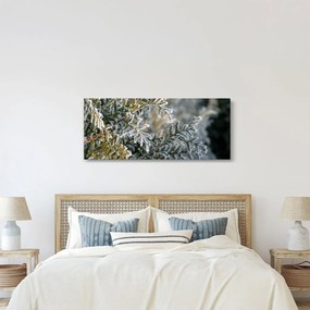 Obraz - Detail vetvy (120x50 cm)