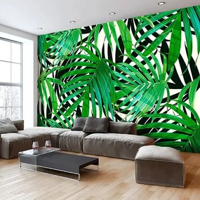 Fototapeta - Tropical Leaves Veľkosť: 250x175, Verzia: Premium