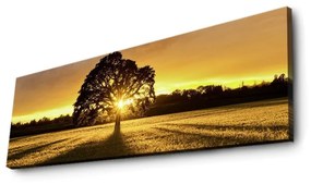 Obraz s led osvetlením Ledda Strom 90x30 cm