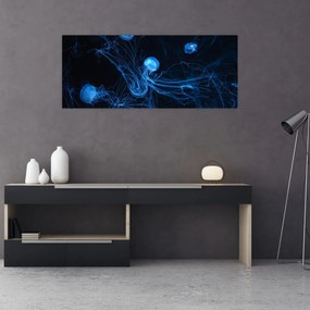 Obraz - Medúzy (120x50 cm)
