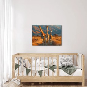 Obraz - Žirafy na pastvine (70x50 cm)
