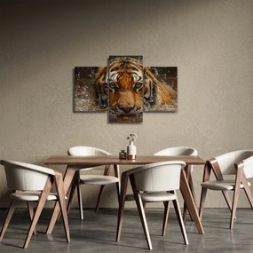 Obraz - Portrét tigra vo vode (90x60 cm)