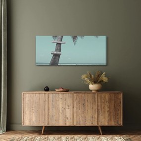 Obraz - Palma v Karibiku (120x50 cm)