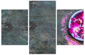 Obraz - Wellness (90x60 cm)