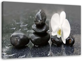 Obraz na plátně Orchid Stone Zen Spa - 100x70 cm