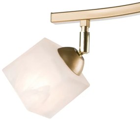 Bodové svietidlo KLARA 3xE14/40W/230V zlatá