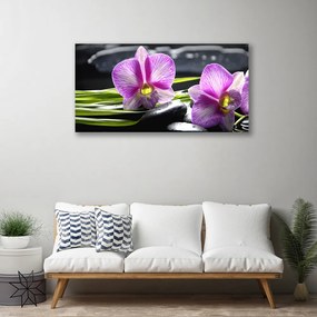 Obraz Canvas Orchidea kamene zen kúpele 120x60 cm