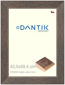 DANTIK rám na obraz 42x59,4 | TOMAS šedá velká (Plexi Čiré)