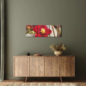 Obraz kvetiny (s hodinami) (90x30 cm)