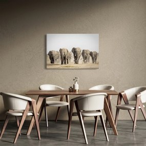 Obraz - Slonie stádo (90x60 cm)