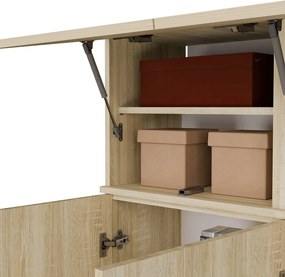 Předsíňová stěna Haga 1Sz1W 100 cm dub Sonoma