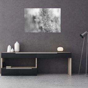 Obraz - Boho pampas grass (90x60 cm)