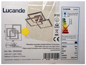 Lucande Lucande - LED Stmievateľné stropné svietidlo AVILARA LED/52W/230V LW1333