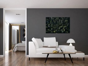 Obraz - Les (90x60 cm)
