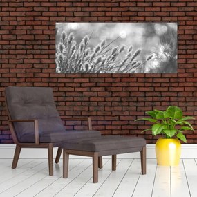 Obraz - Béžová soft grass N⁰1 (120x50 cm)